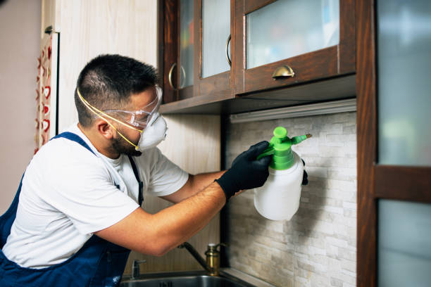 Best Exterminator Services  in Lexington Hills, CA