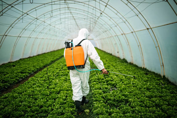 Best Pest Removal Services  in Lexington Hills, CA
