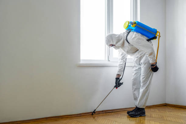 Best Commercial Pest Control Services  in Lexington Hills, CA