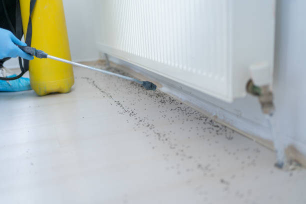Best Wildlife Control Services  in Lexington Hills, CA