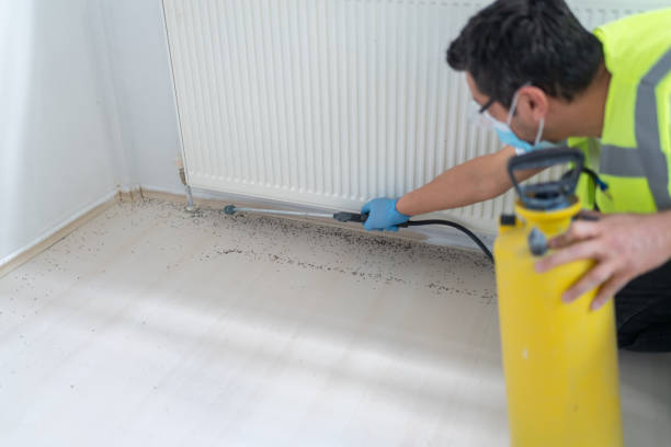 Best Affordable Pest Control Services  in Lexington Hills, CA