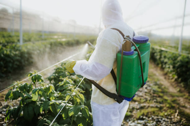  Lexington Hills, CA Pest Control Pros